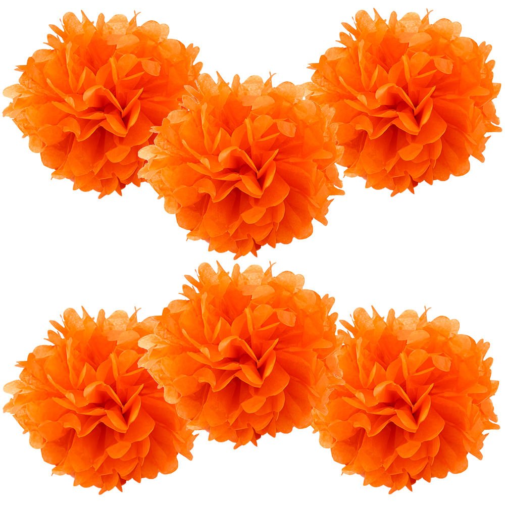 WYZworks Set of 6 - Coral 10 - (6 Pack) Tissue Pom Poms Flower Party Decorations for Weddings, Birthday, Bridal, Baby Showers, N