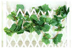 Botius 38 Ft - 5 Strands Autumn Artificial Grape Leaf Garland Fall Decoration For Home Wedding Wall Party
