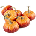 Factory Direct Craft Package of 6 Rustic Artificial Pumpkins for Halloween, Fall and Thanksgiving Decorating