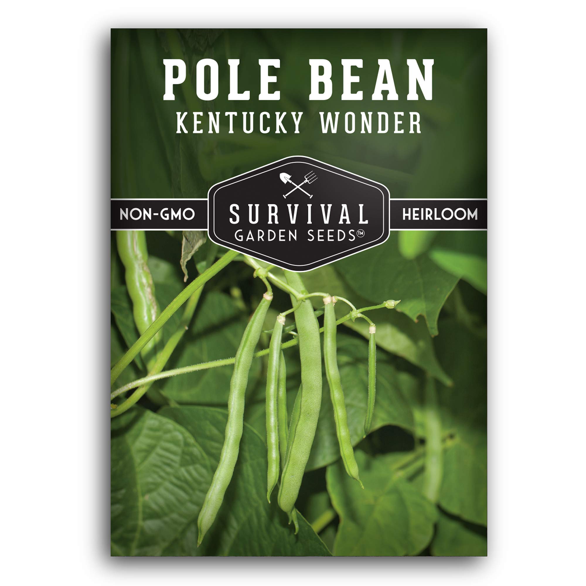 Survival Garden Seeds - Kentucky Wonder Pole Bean Seed For Planting - Packet With Instructions To Plant And Grow Delicious Snap