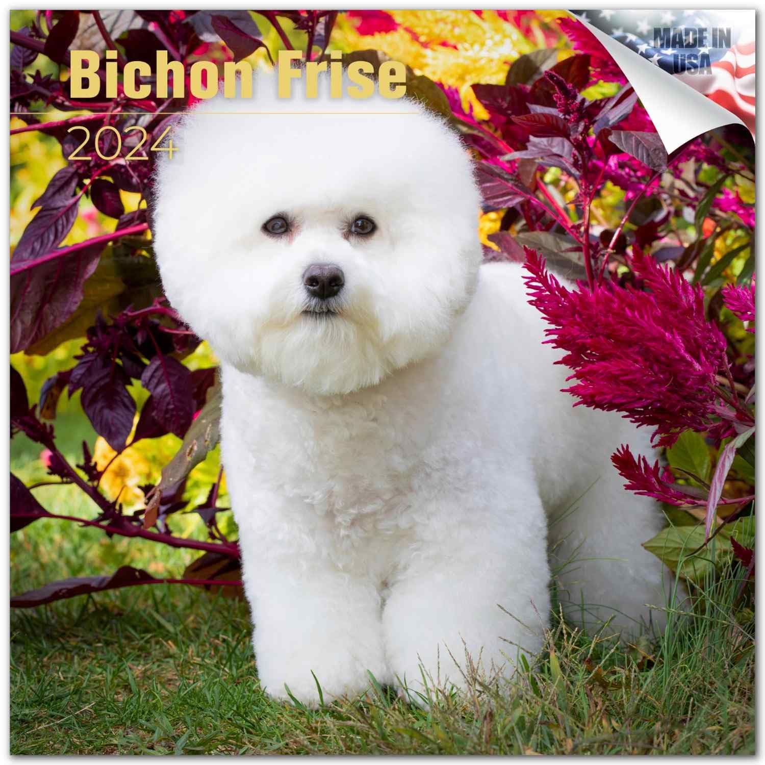2023 2024 Bichon Frise Calendar - Dog Breed Monthly Wall Calendar - 12 X 24 Open - Thick No-Bleed Paper - Giftable - Academic Te