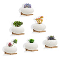 NIUBEST Small Floating Shelves,Display Ledges,Set of 6 Mini Shelves,Rustic Wood Shelf for Bedroom Living Room Kitchen Office Dec