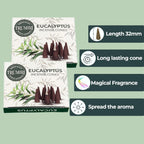 Eucalyptus Incense Cones - Total 20 Cone Incense - Dual Pack Of 10 Insence Cones - Incense Cones Scented - Cone Incense Scents -