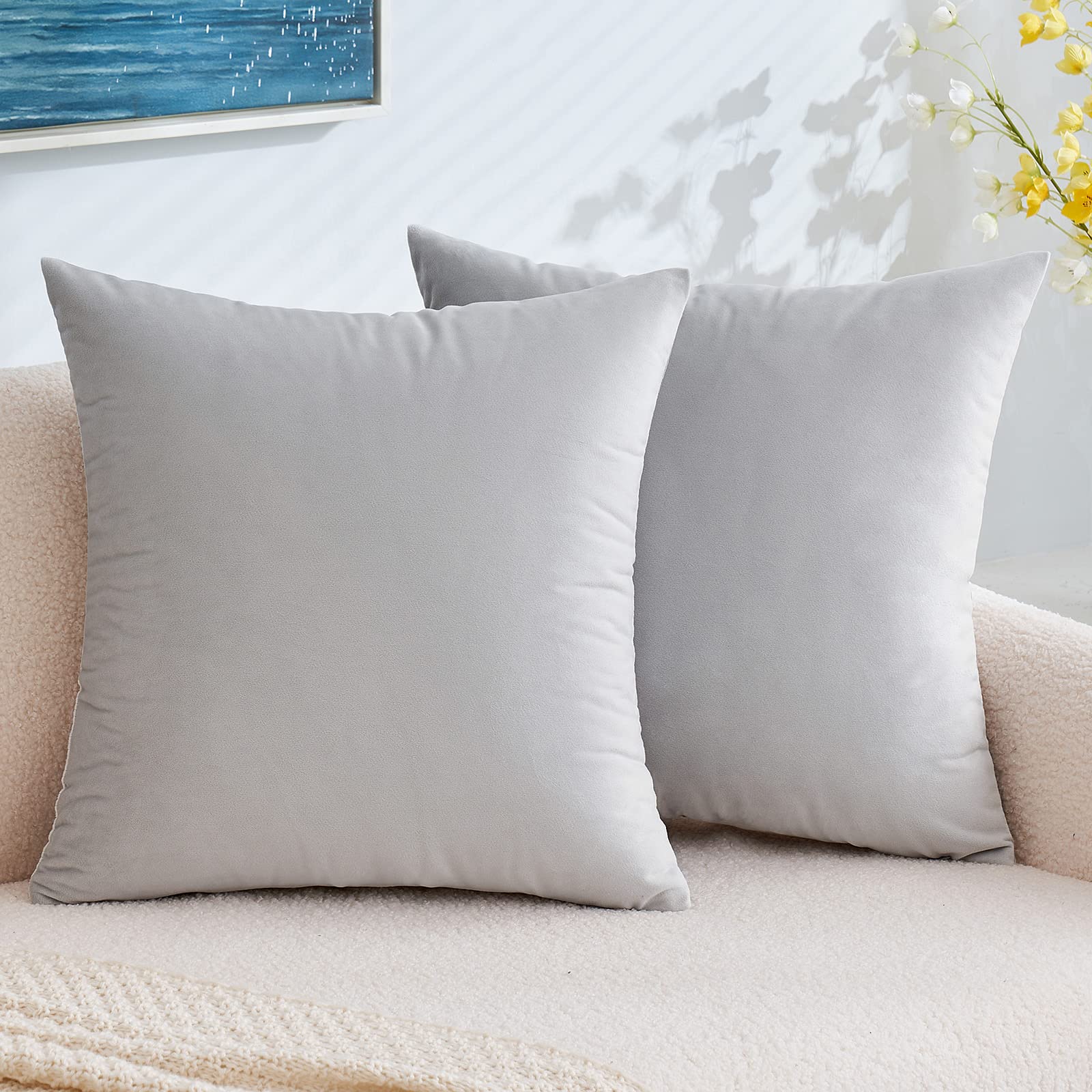 Emema Pack Of 2 Velvet Pillow Covers Decorative Square Pillowcase Soft Solid Cushion Case For Sofa Bedroom Car 20X20 Inch Greyis