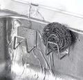 Oligitdi Sponge Holder for Kitchen Sink  Stainless Steel with Adhesive  Set of 2
