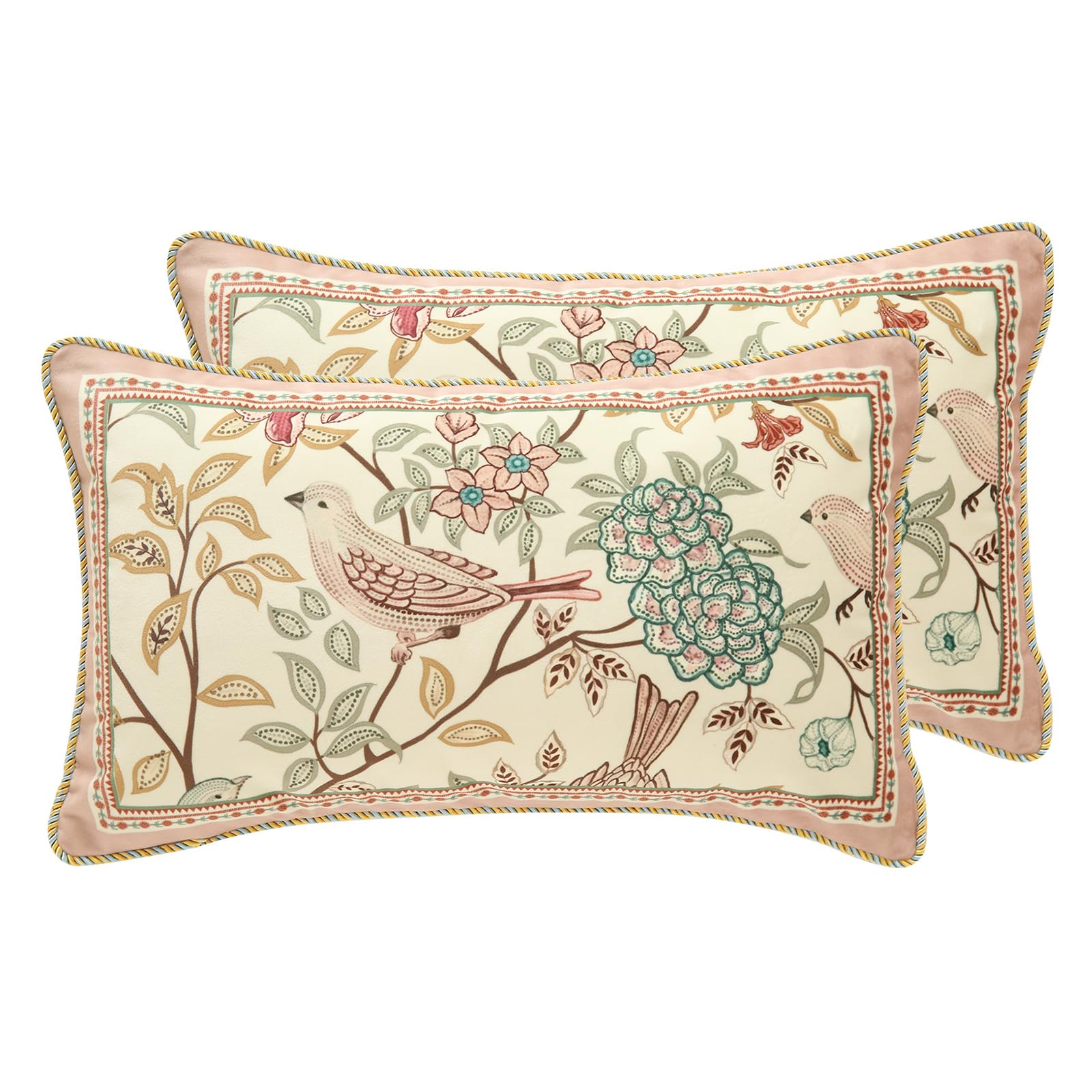 Patdrea Velvet Euro Sham Decorative Throw Pillow Covers Set Soft Durable Cushion Cases Pillowcase For Couch Bedroom Car (2 Pack