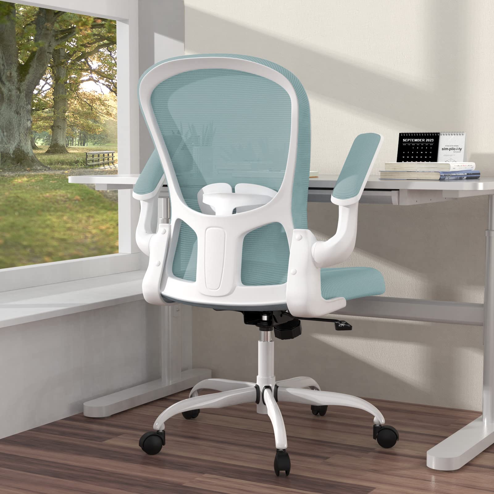 Ergonomic Office Chair, Comfort Swivel Home Office Task Chair, Breathable Mesh Desk Chair, Lumbar Support Computer Chair with Fl