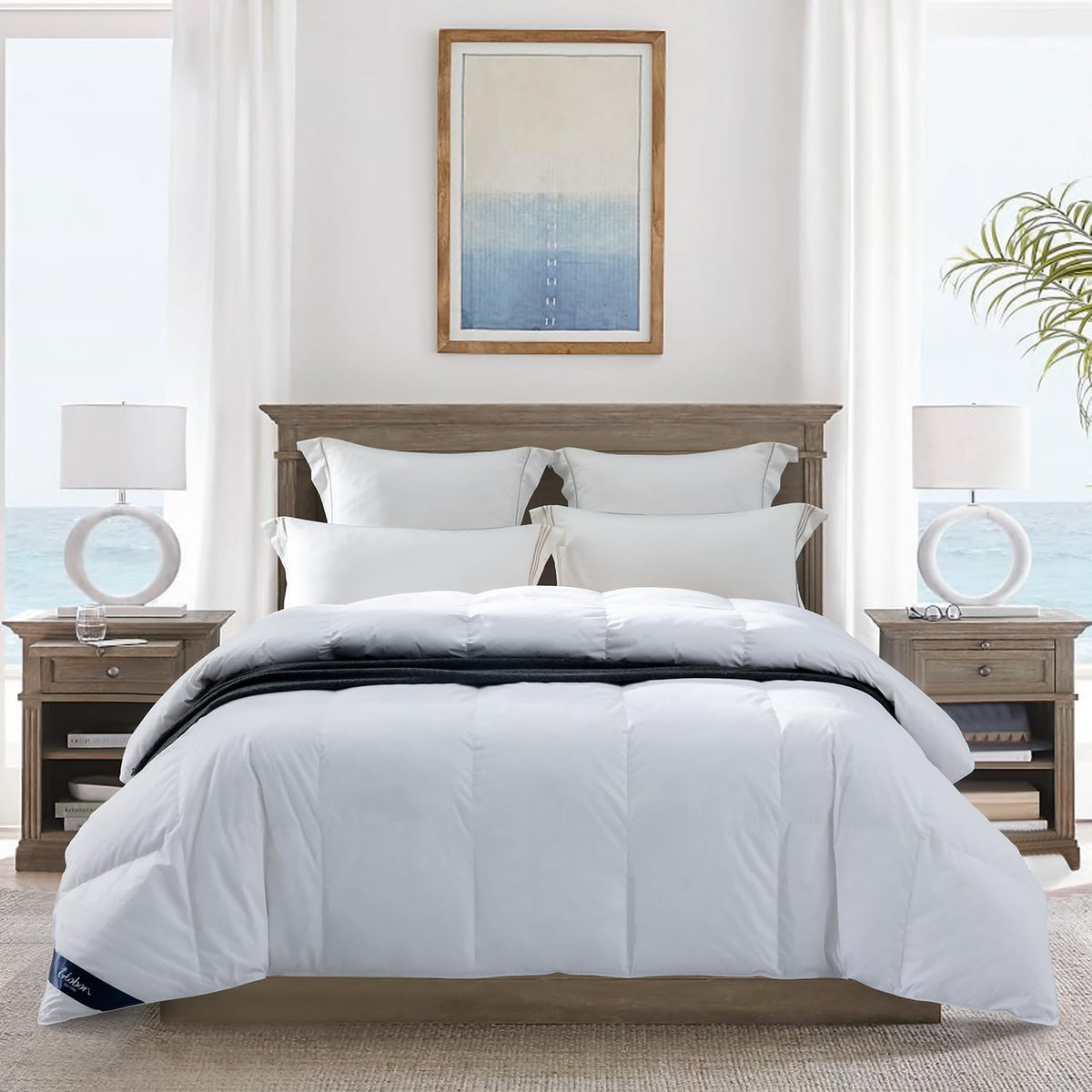 Globon Ultra-Soft Lightweight Down Feather Comforter Queen Size,Breathable Thin Blanket Duvet Insert For Hot Sleeper/Warm Weathe