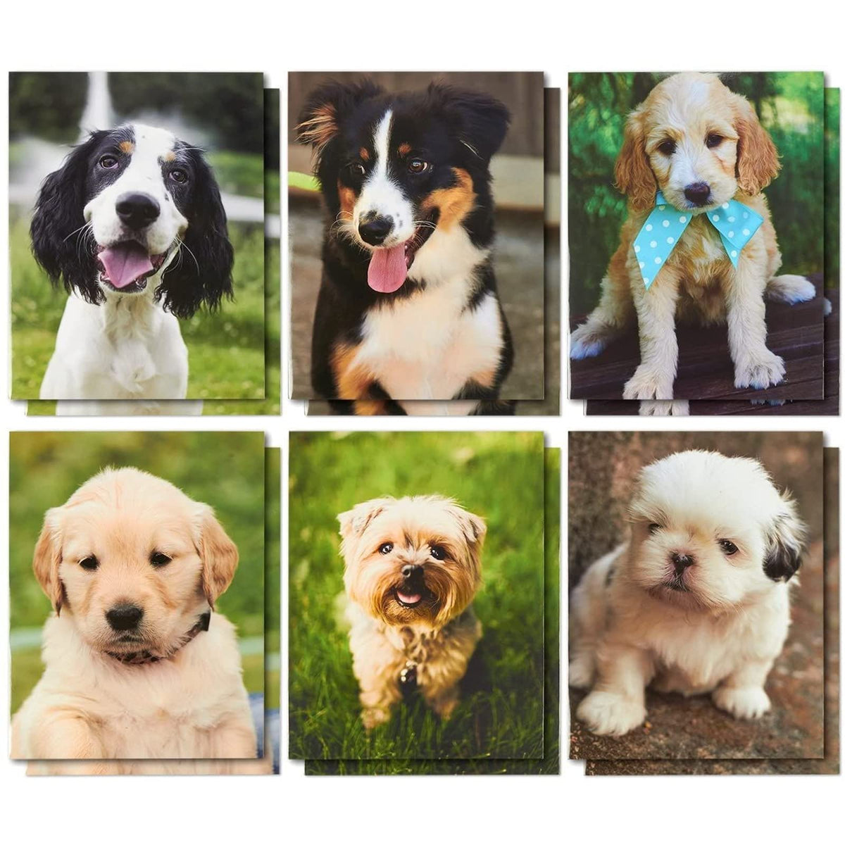 Blue Panda 12 Pack Of 2 Pocket File Folders, Decorative Dog, Puppy Designs For Kids, School, Office, Letter Size (12X9.5 In)