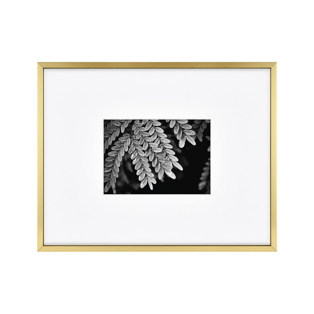 MCS Master & Co. Foundry Metal Gallery Wall Frame, Brass, 11 x 14 in matted to 5 x 7 in