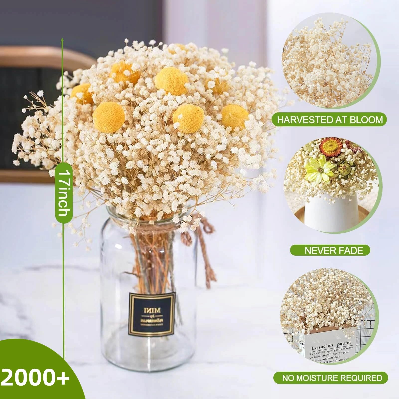 2000+ Dried Babys Breath Flowers Bulk - 17'' Ivory White Dried Flower Bouquet, Real Natural Gypsophila Branches For Vase Filler,