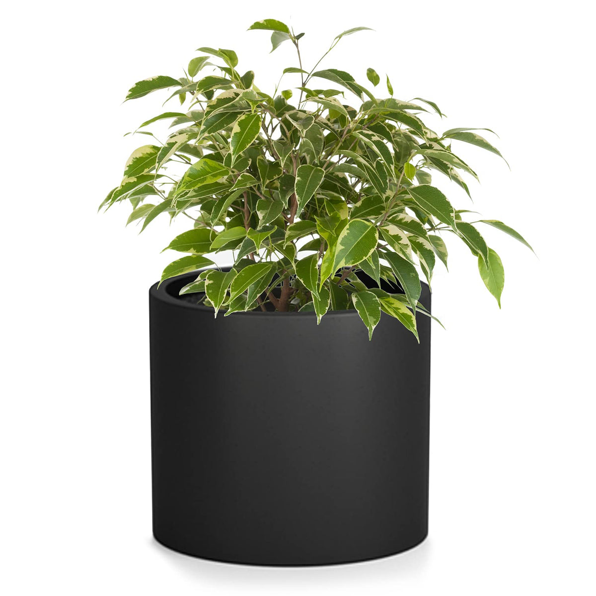 Fox & Fern Black Planter, Plant Pots Indoor, Planters For Indoor Plants, 12 Inch Pots For Plants - Fits Mid Century Modern Plant