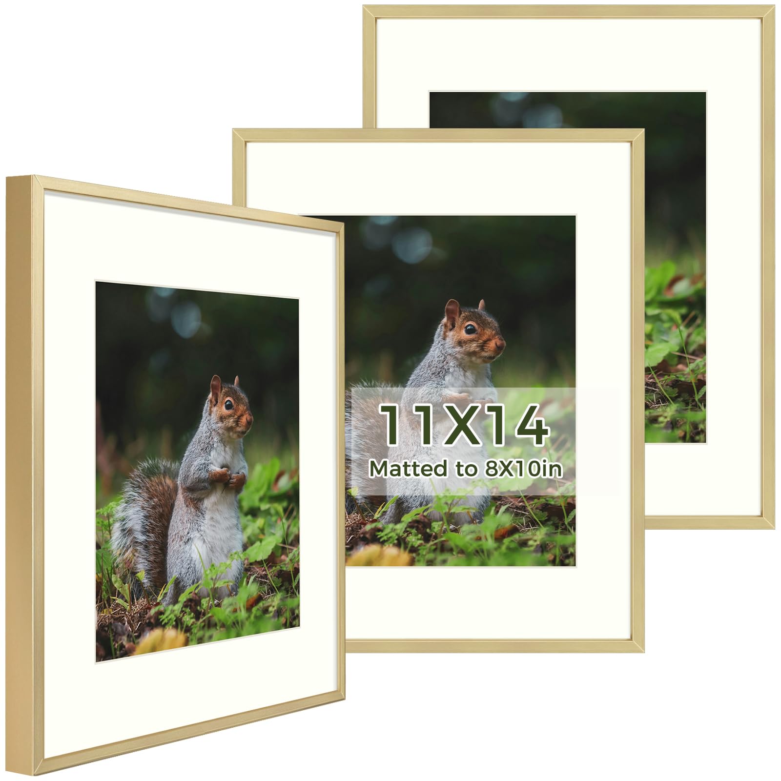 Golden State Art, 11x14 Aluminum Metal Frame with Ivory Mat for 8x10 Pictures, includes with Sawtooth Hangers and Spring Clips -