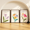 SoulAbiti Botanical Garden Pastel Coneflowers & Tulips set of 3 Framed Wall Print 12x18 inch Dark Brown Frame PlexiGlass Floral