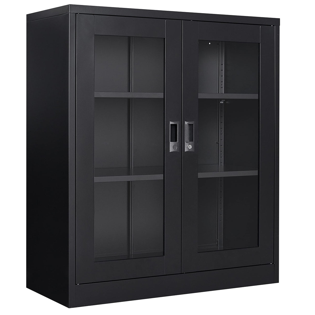 SISESOL Black Metal Storage Cabinet with Doors and Shelves,Display Cabinet with Acrylic Doors,Office Cabinet with Storage Shelve