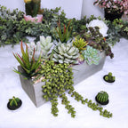 Supla Artificial Potted Succulents Plants Arrangement Fake Succulent Plants In Rectangular Wooden Pot Arrangement For Table Cent
