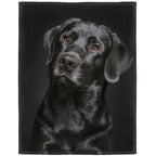 Hommomh Black Lab Blanket, Gorgeous Labrador Dog Print, Soft Fluffy Fleece Throw 40'X50'