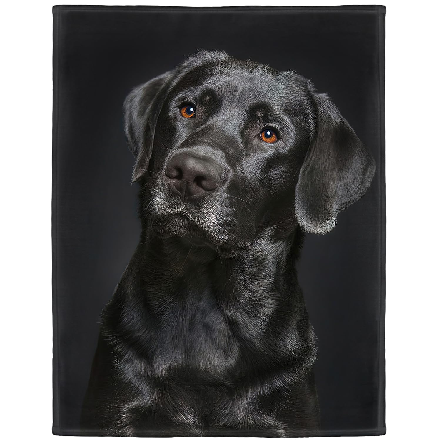 Hommomh Black Lab Blanket, Gorgeous Labrador Dog Print, Soft Fluffy Fleece Throw 40'X50'