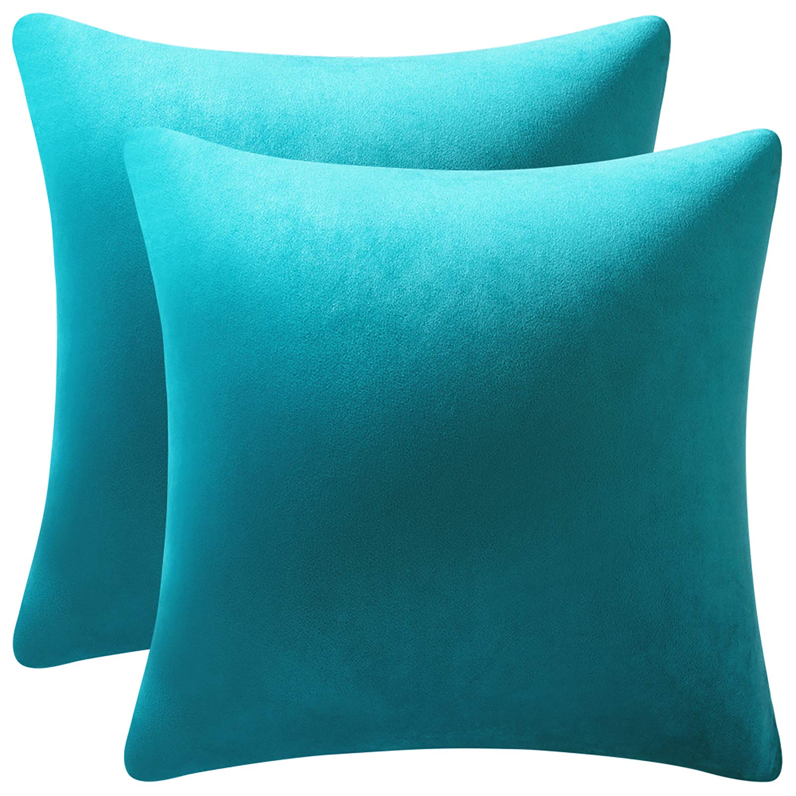 Dezene Turquoise Throw Pillow Covers 2 Pack 20 X 20 Inch Cozy Soft Velvet Square Decorative Pillow Cases, Lumbar Toss Pillow Sha