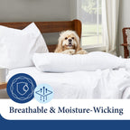 Cosy House Collection Luxury Cooling Rayon Derived From Bamboo Blend Ultra Soft Pillow Cases - Cooling & Breathable - Set Of 2 P
