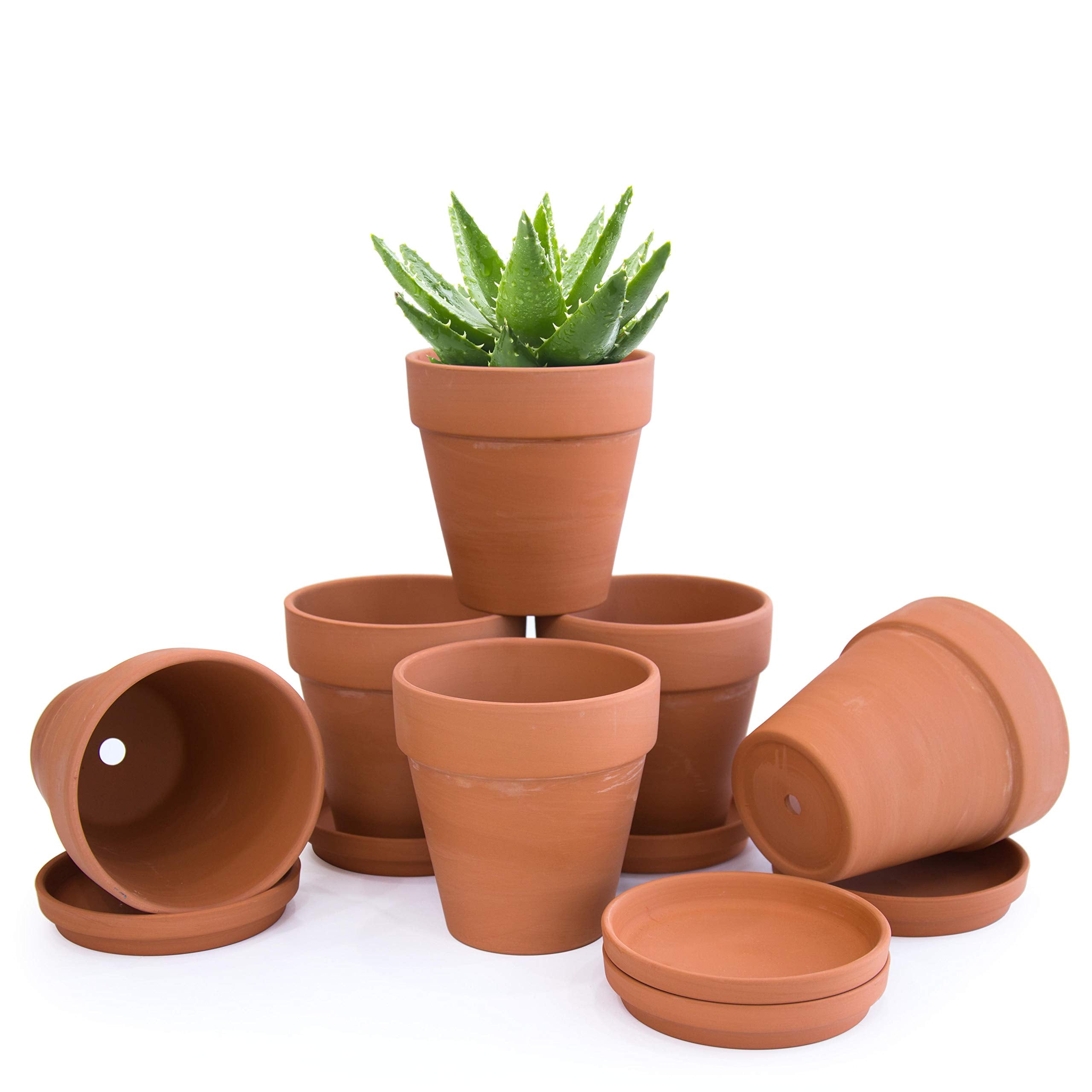 D'Vine Dev Pack Of 6 Terracotta Pots With Saucers, 5 Inches Terra Cotta Pots With Tray, Clay Pots For Plants & Succulents, Terra