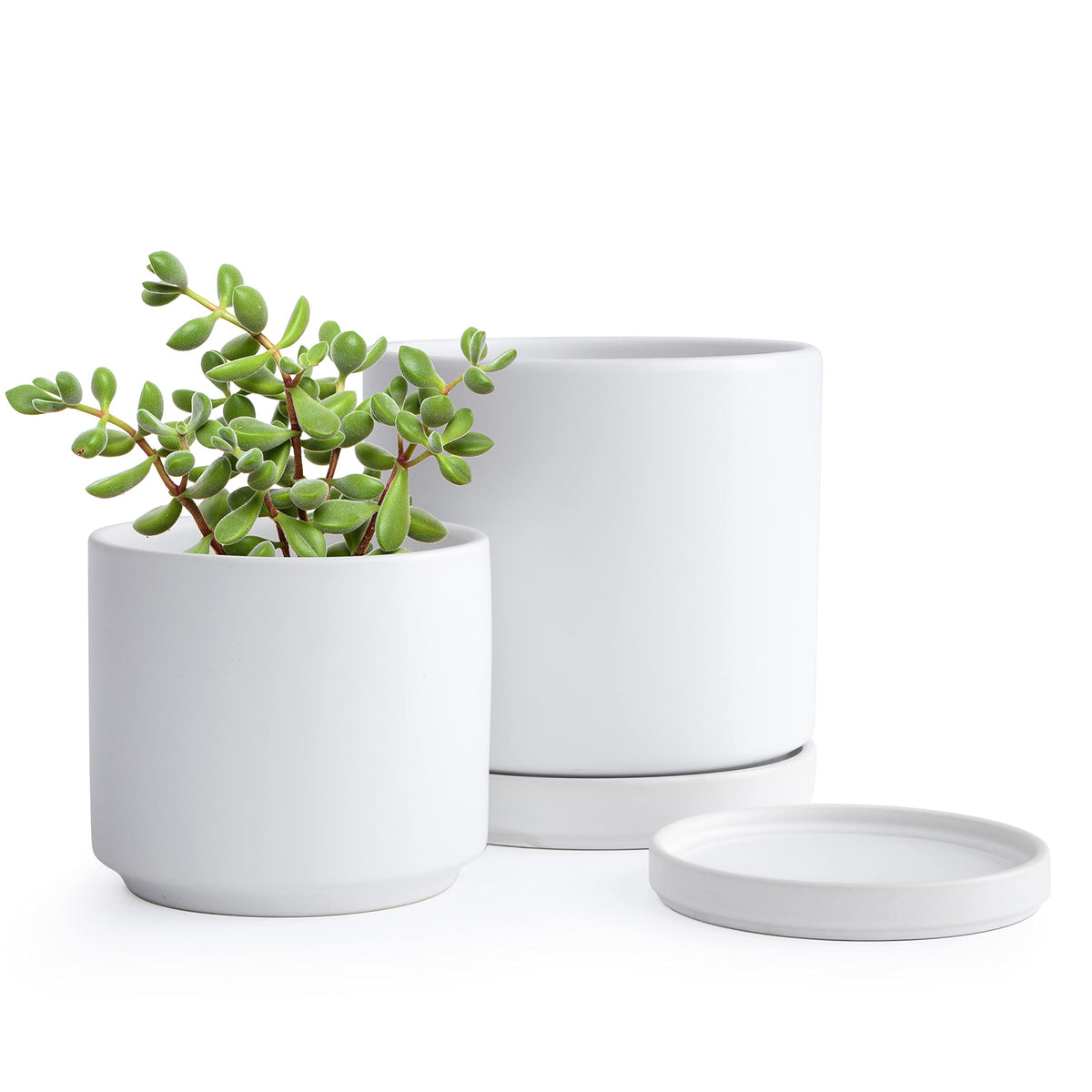 D'Vine Dev 4.6 Inch & 6 Inch Ceramic Planter Pots For Plants With Drainage Hole And Saucer, Small Plant Pots Set, White, 94-G-S-