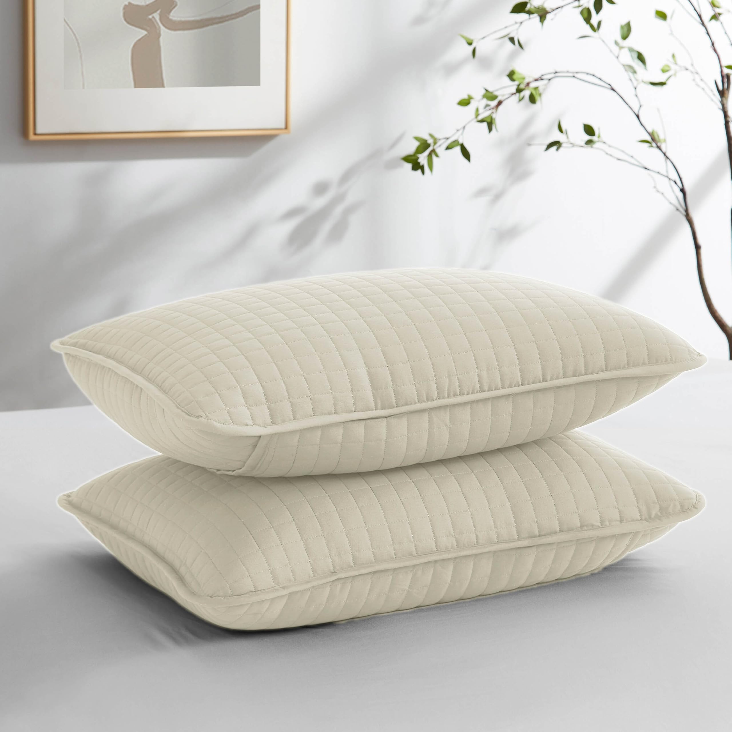 Southshore Fine Linens - Vilano Springs - Pair Of Quilted Pillow Sham Covers (No Inserts), 18' X 18', Light Cream