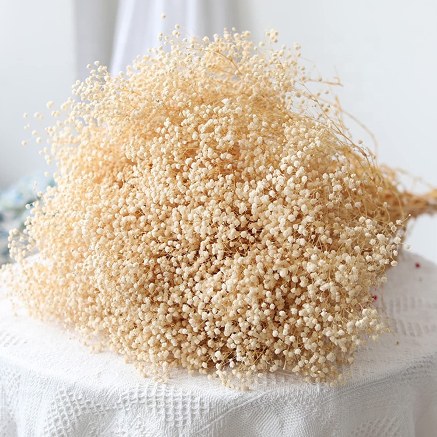 6000+ Dried-Babys-Breath-Flowers-Bouquet, Double Quantityed Ivory White Flowers, Natural Gypsophila Branches, Valentine'S Day, D