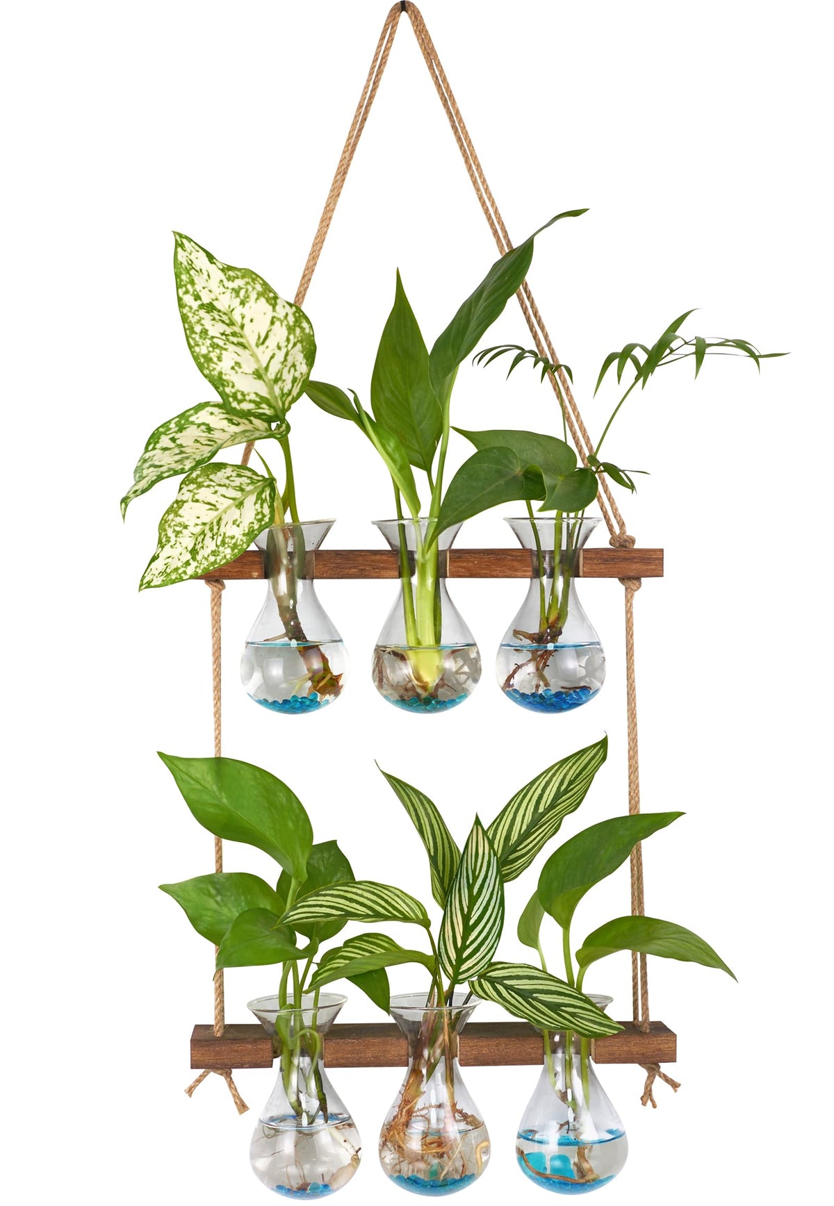 Xxxflower Wall Hanging Propagation Station With Wooden Stand 3 Bulb Vase 2 Tiered Planters Wall Terrarium For Home Office Plant