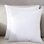 TAOSON Set of 2 Home Decorative 100% Cotton Canvas Square Throw Pillow Covers Cushion Case Solid Pillowcase with Hidden Zipper C