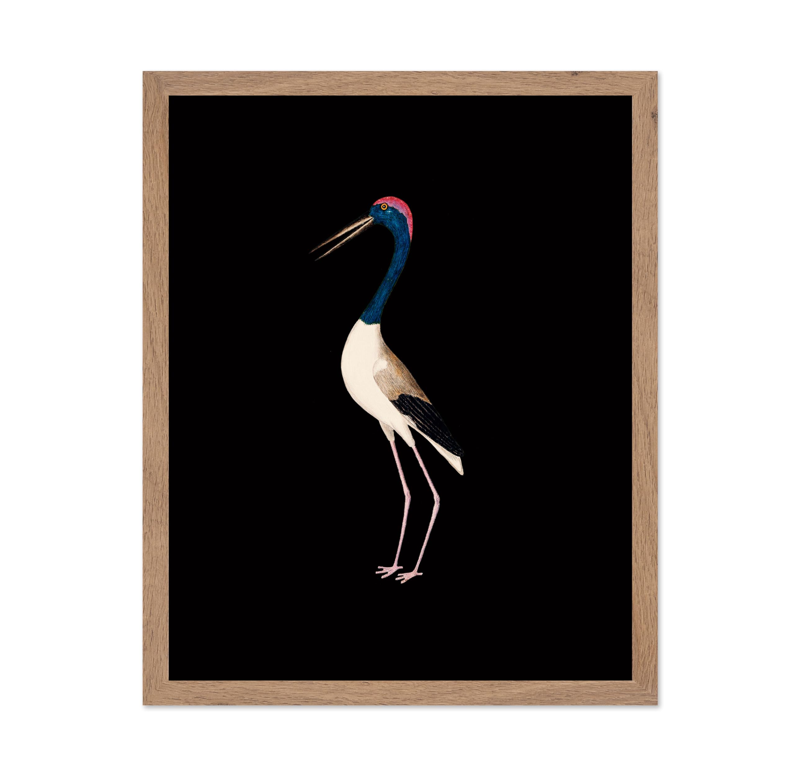 Poster Master Vintage Crane Poster - Retro Bird Print - Bird Portrait Art - Minimal Art - Animal Lover Art - Moody Art - Aesthet