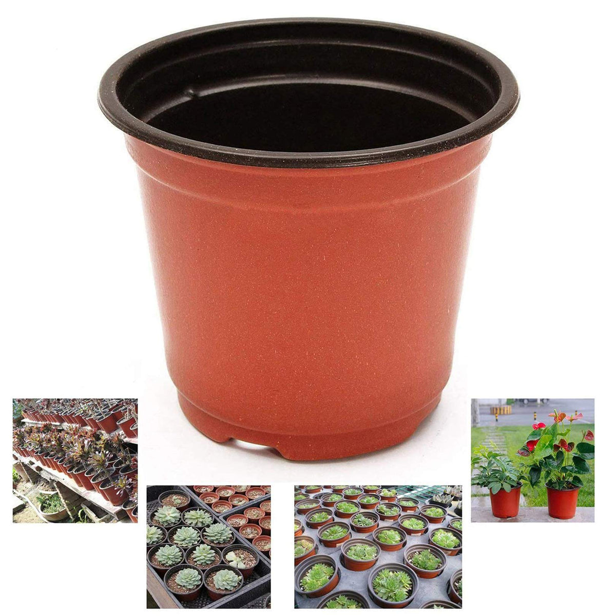 Oubest Plastic Plant Nursery Pots 6' 100 Pcs Reusable For Seed Starting Seedlings Cuttings Transplanting Flower Plant Pots