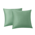 Rainroad Sage Green Throw Pillows Covers Set Of 2 Soft Velvet Decorative Pillow Covers 20X20 Inch For Couch Bed(Sage Green, 20''