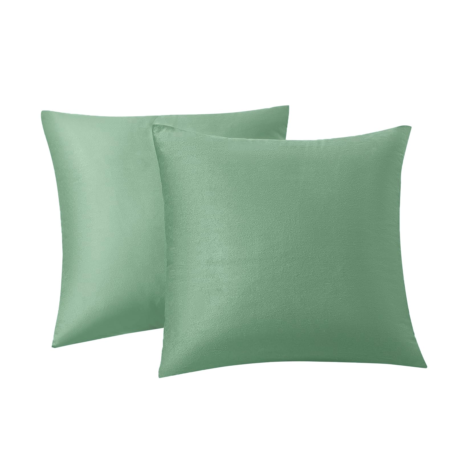 Rainroad Sage Green Throw Pillows Covers Set Of 2 Soft Velvet Decorative Pillow Covers 20X20 Inch For Couch Bed(Sage Green, 20''
