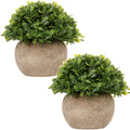 Briful Small Fake Plants Faux Potted Plant Mini Artificial Plants for for Home Table Office Room Desk Bathroom Shelf Kitchen Far