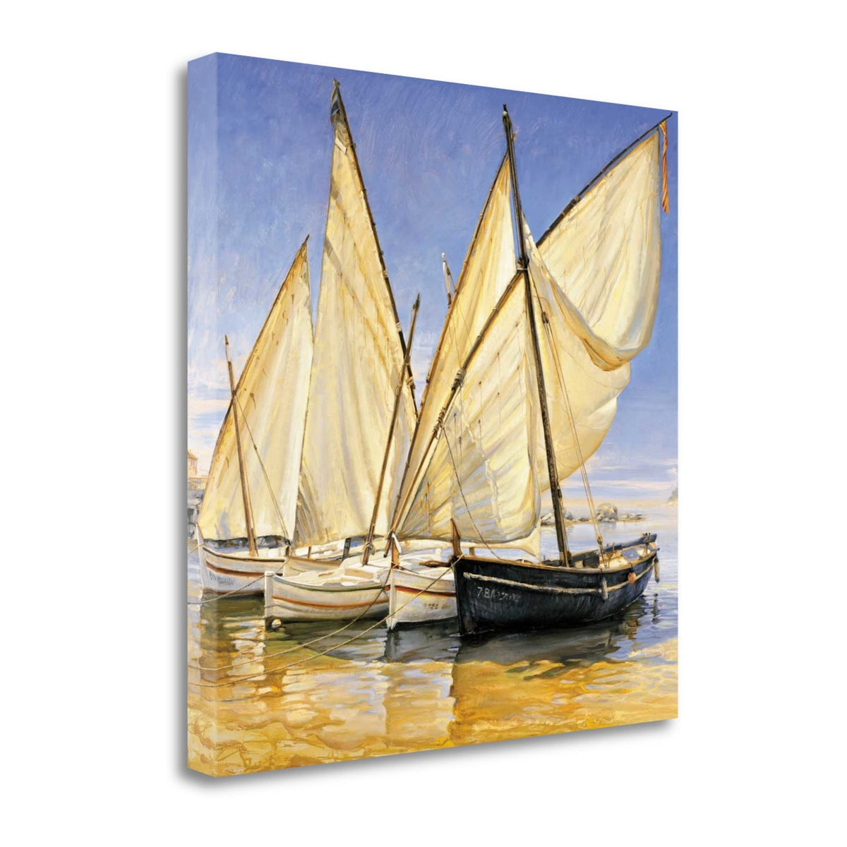 35' Fleet of Boats with Royal White Sails Giclee Wrap Canvas Wall Art