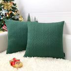 Booque Valley Throw Pillow Covers, Pack of 2 Christmas Green Cushion Covers Super Soft Modern Holiday Decorative Pillow Cases fo