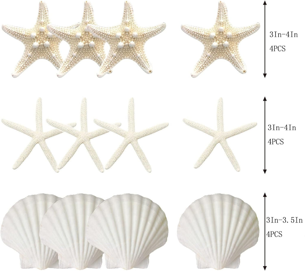 Jqaqju Starfish And Scallop Shells For Crafts 12Pcs, Large Seashells 3''-4'' Bulk Sea Shells For Decor Kids Beach Theme Party Pa