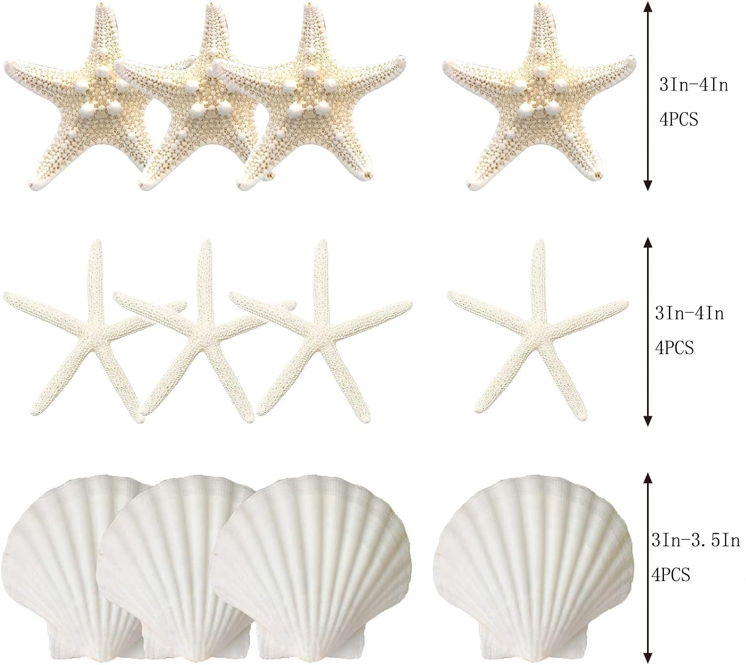 Jqaqju Starfish And Scallop Shells For Crafts 12Pcs, Large Seashells 3''-4'' Bulk Sea Shells For Decor Kids Beach Theme Party Pa