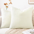 Pallene Faux Fur Plush Throw Pillow Covers 24X24 Set Of 2, Luxury Soft Fluffy Cozy Decorative Pillow Covers For Sofa, Couch, Liv
