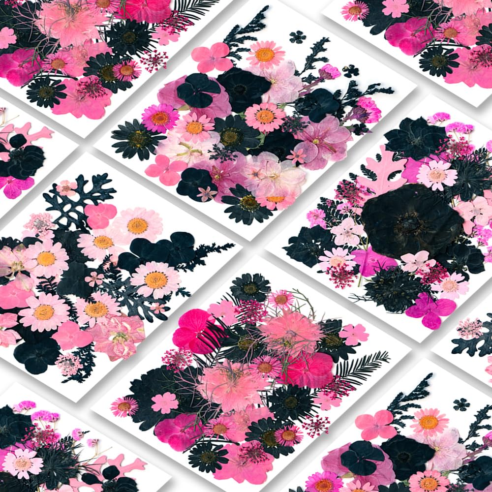 Blaflo 136Pcs Black & Pink Dried Pressed Flowers For Resin,Real Pressed Flowers Dry Leaves Bulk Natural Herbs Kit For Scrapbooki