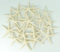 Starfish Decor - Star Fish for Craft - 20pk Real 2-3'' White Sea Stars - Beach Wedding Decor - Coastal Party Decorations - Seash