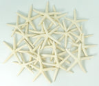 Starfish Decor - Star Fish for Craft - 20pk Real 2-3'' White Sea Stars - Beach Wedding Decor - Coastal Party Decorations - Seash