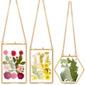 AVLA 3 Pack Pressed Flowers Glass Frames, Brass Hanging Picture Frames with Chain, Small Golden Floating Photo Frame, Clear DIY 