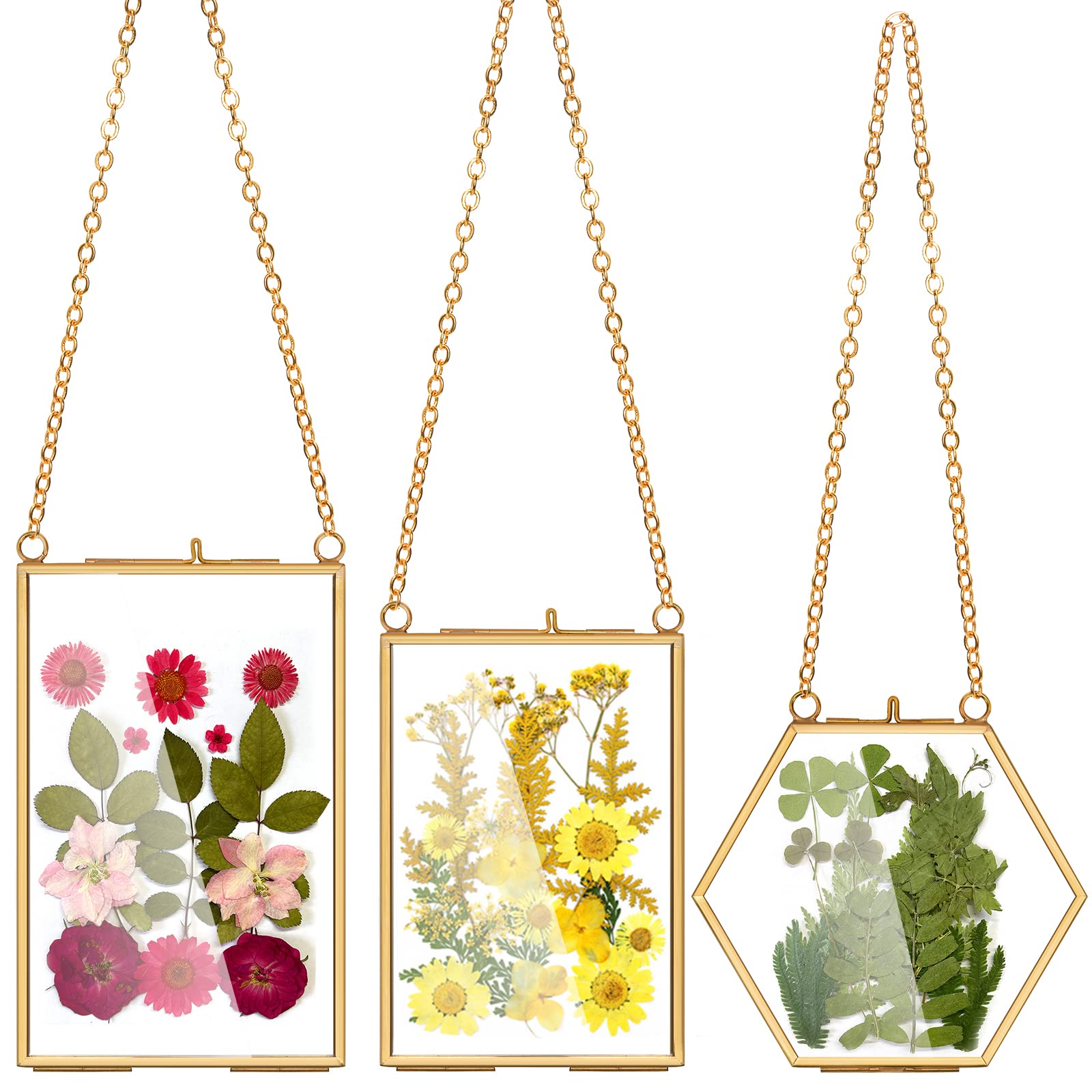 AVLA 3 Pack Pressed Flowers Glass Frames, Brass Hanging Picture Frames with Chain, Small Golden Floating Photo Frame, Clear DIY 