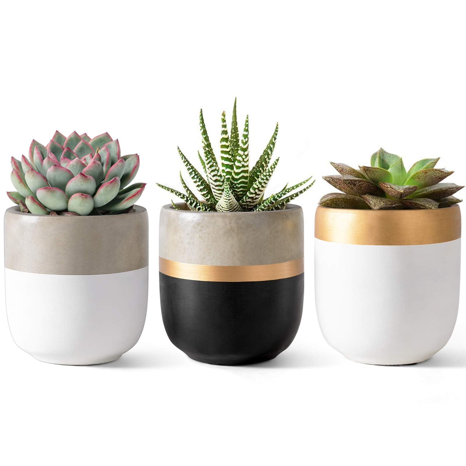Dahey 3 Pack Small Cement Succulent Planter Pots 4 Inch Modern Mini Concrete Flower Pots Indoor Outdoor For Cactus Herb Or Small