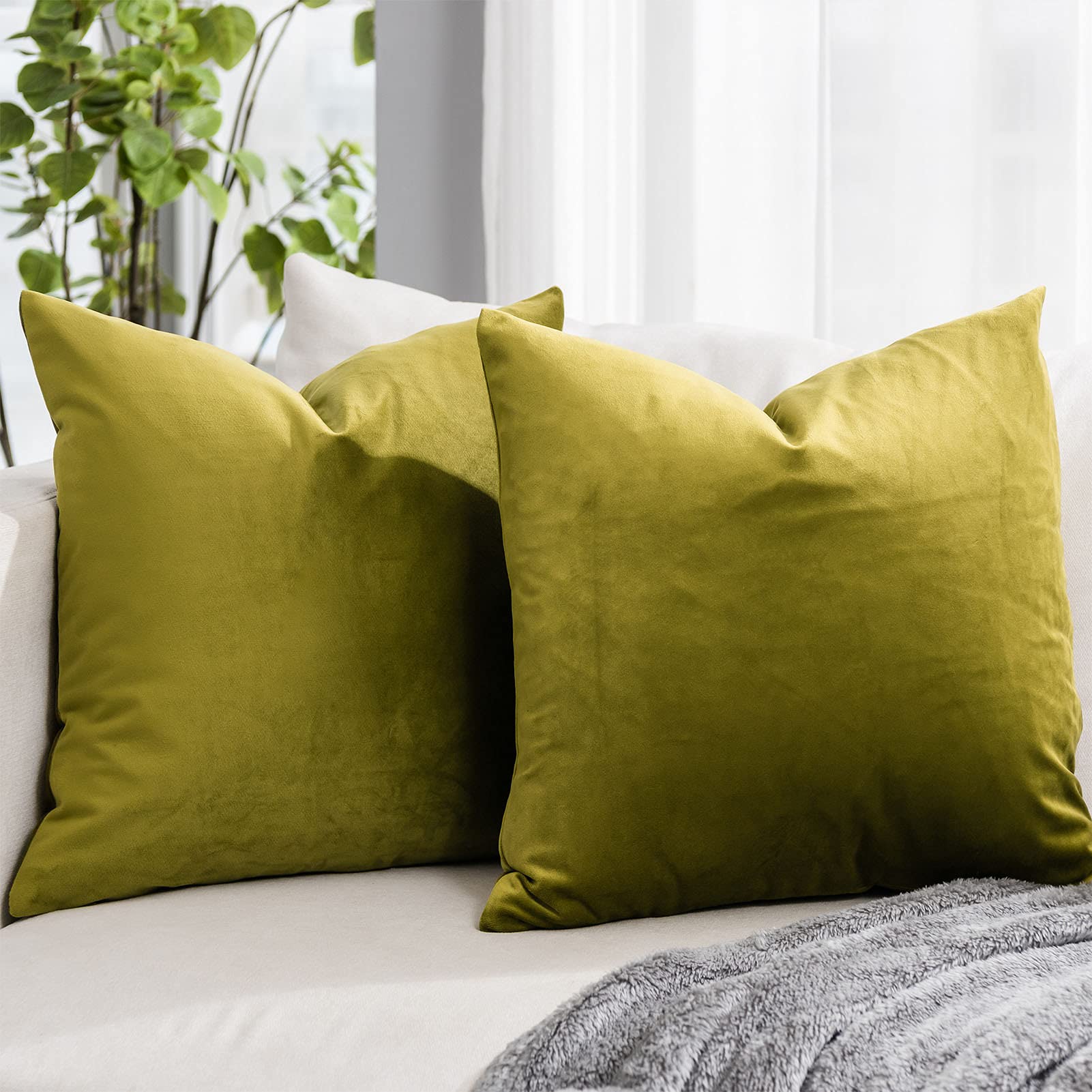 Quafoo Olive Soft Velvet Throw Pillow Covers 26X26 Inch Set Of 2 For Sofa Couch Bed Living Room Decorative Luxury Solid Square C