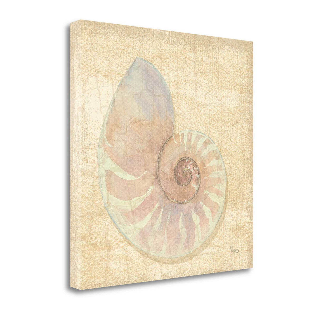 24' Soft Pastel Seashell Giclee Wrap Canvas Wall Art