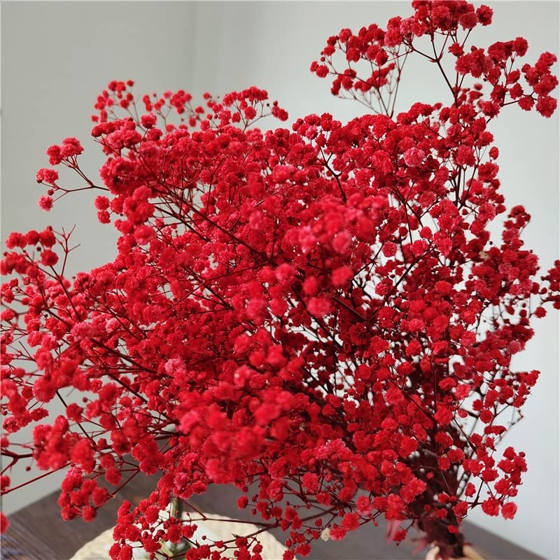 Dried-Babys-Breath-Flowers-Bouquet, 17.2In 2500+ Red Flowers, Natural Gypsophila Branches For Wedding, Valentines Day, Dry Flowe