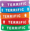 Teacher Created Resources Terrific Wristbands (Tcr6549)